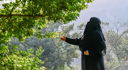مزارع الفواكه الصيفية بالباحة.. وجهة جاذبة للزوار ورافد للاقتصاد المحلي