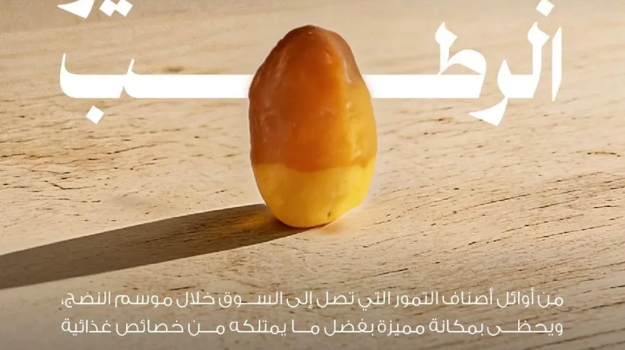 الربيعة تتصدّر باكورة موسم بشاير الرطب