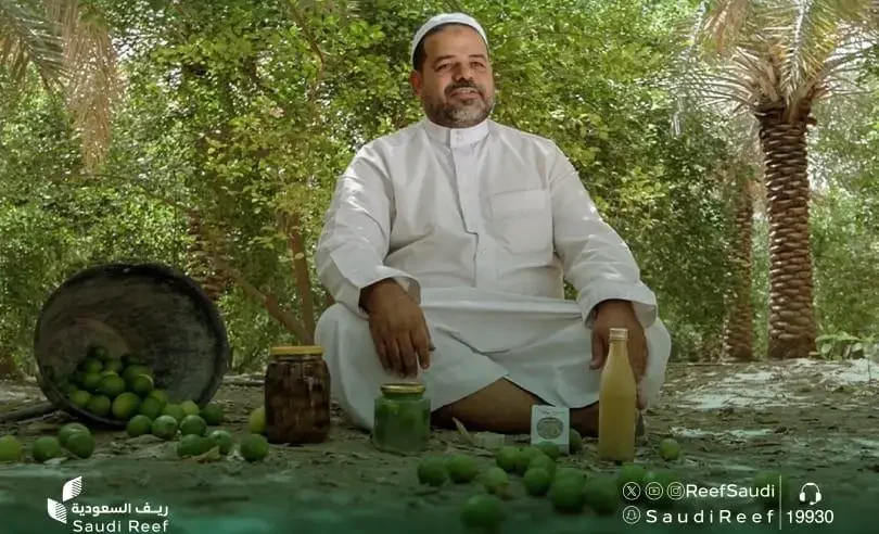 اللومي الحساوي موروث زراعي ينتجه مزارعو الأحساء ويغذي الأسواق بالمنطقة