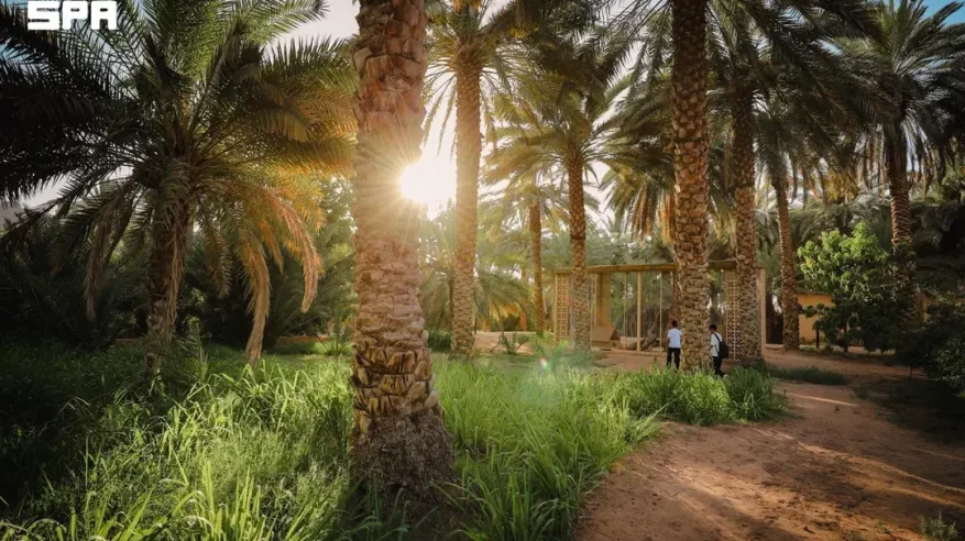 الهيئة الملكية لمحافظة العُلا تطلق موسم “خيرات العُلا”