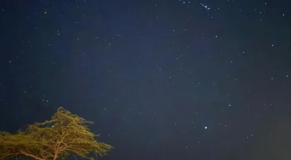 سكون الطبيعة وبريق النجوم يرسمان مشهدًا ليليًا آسرًا في محمية الإمام تركي