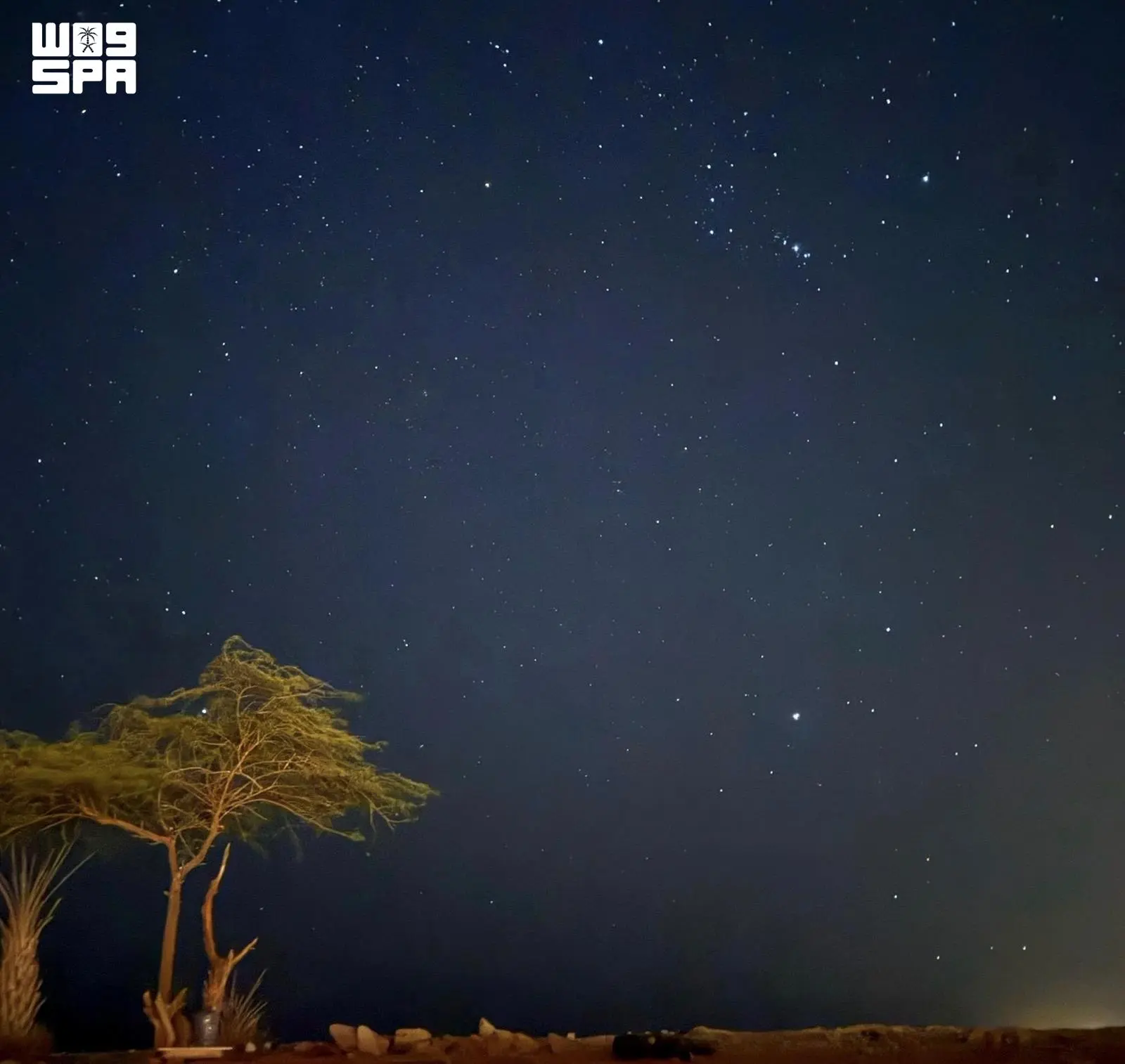 سكون الطبيعة وبريق النجوم يرسمان مشهدًا ليليًا آسرًا في محمية الإمام تركي