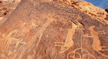 النقوش الأثرية في محمية الملك سلمان شاهد على تاريخ المكان وعراقته