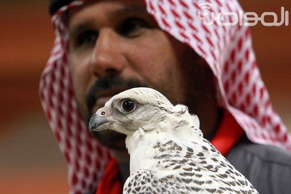 بالصور.. فرق الإمارات الشعبية تشعل حماس زوار الجنادرية