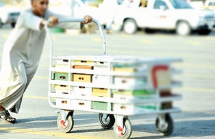 مزارعو تمور “المدينة” يلجأون للحراج لبيع منتجاتهم