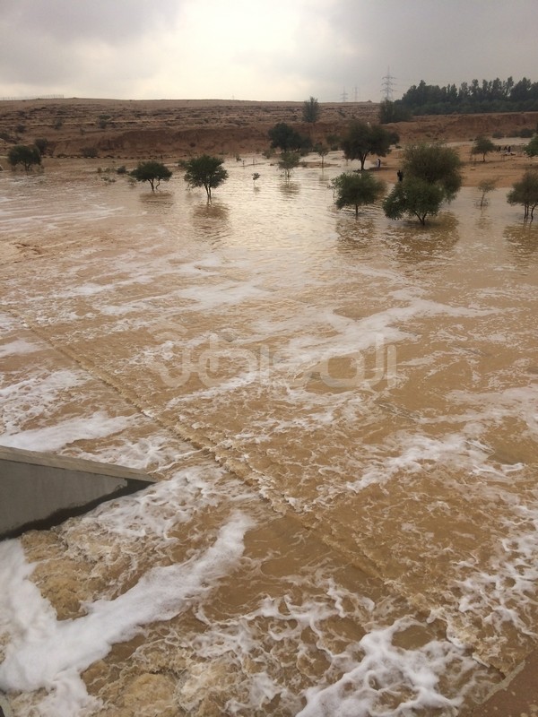 بالصور .. فيضان سدّ الدرعية والعمارية ونمار