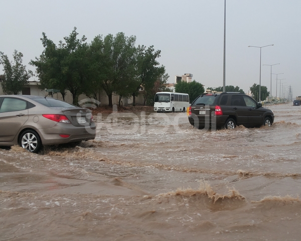 بالصور.. “المواطن” ترصد بحيرة في سلي الرياض