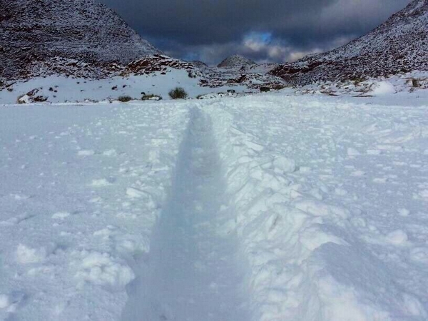 بالصور والفيديو.. الثلوج تغطي منطقة “الظهر” شمال غرب تبوك