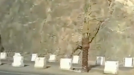 بالفيديو.. “زلزال جازان” يتسبب في انهيار بجبل