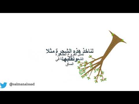 بالفيديو.. السعد يوجه نصائح لعلاج دوالي الساقين