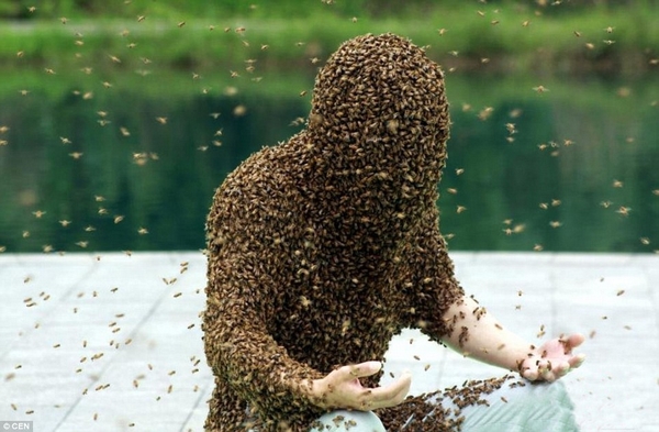 بالصور.. صيني يغطي جسده  بـ 100 ألف نحلة