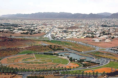 مجلس التنمية السياحية بحائل يطلق ورشة عمل لتطوير مهرجان الصحراء