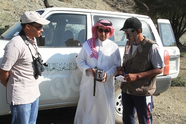 “البوق” يكشف حقيقة فيديو النمور السائبة بـ” هدا الطائف”