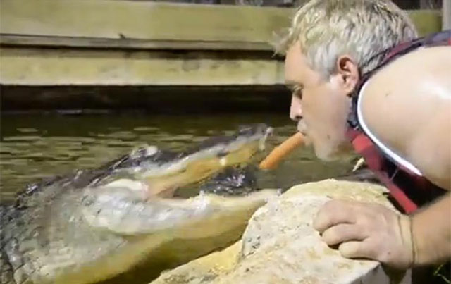 بالفيديو.. مغامر يطعم بفمه تمساحاً جائعاً