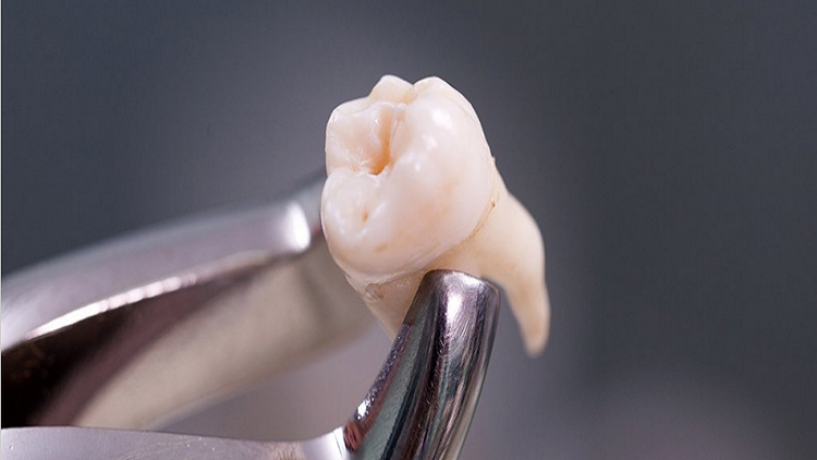 دراسة تحدد أثر مضغ الطعام على أسناننا