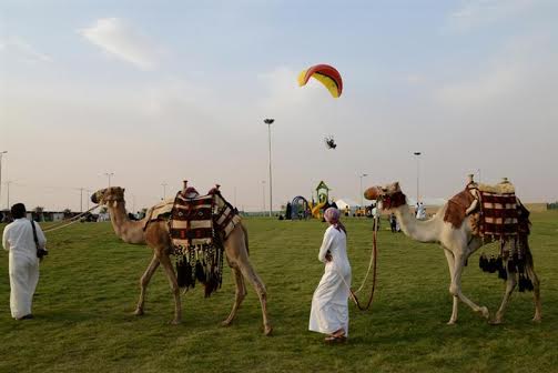 الطيران الشراعي يستعرض بمهرجان السياحة والزراعة بالخطة