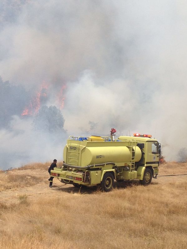 7 فرق إطفاء تشارك في إخماد حريق مدرجات زراعية بالمندق