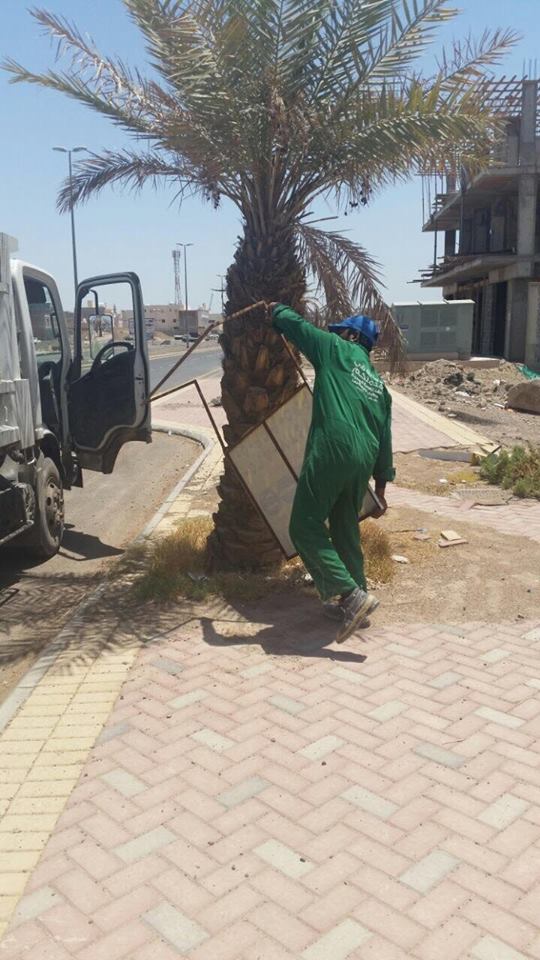 بالصور.. إزالة 7500 إعلان عشوائي يشوه المظهر الحضاري بالمدينة