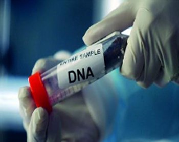 محكمة أردنية تلجأ إلى “DNA” للتعرف على والد جنين سورية تزوجت 4