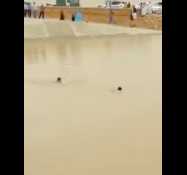 بالفيديو.. شاب يصارع الموت في سد الدرعية