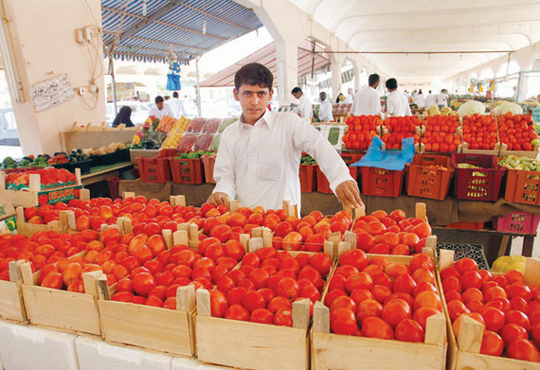 حملة لمقاطعة الطماطم لمدة أسبوع تبدأ اليوم