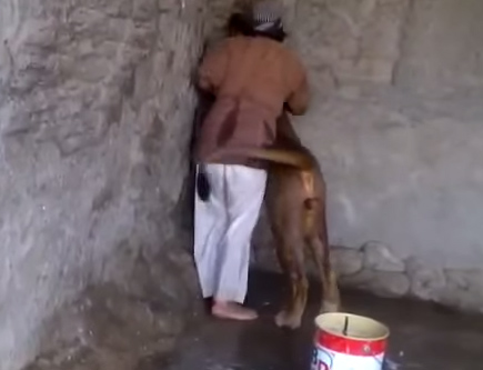 بالفيديو.. يمني يروض أسدا ويغسله بكل شجاعة