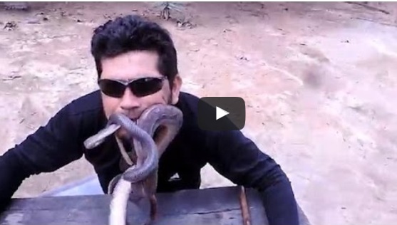 فيديو مرعب.. برازيلي يضع 4 ثعابين في فمه