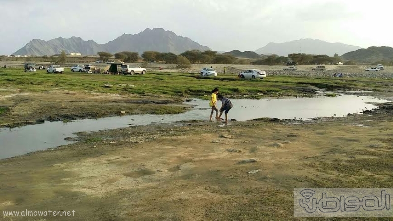 بالصور.. "المواطن" ترصد جمال وادي البرداني شمال محايل8