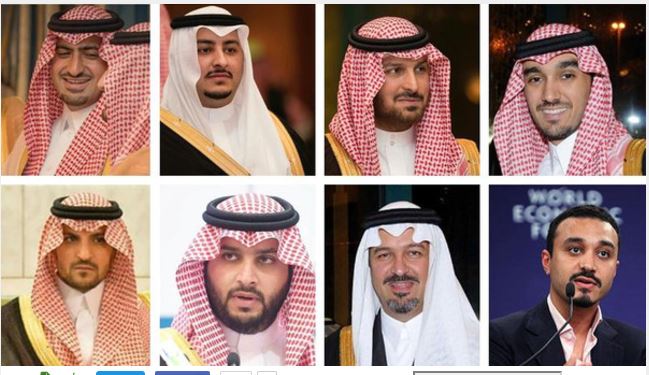 بالصور.. 8 أمراء شباب ينضمون إلى مسيرة التنمية والإصلاح في المملكة