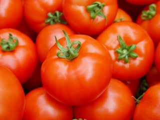 ضبط 22 طنًّا من الطماطم الفاسدة في سوق الدمام 