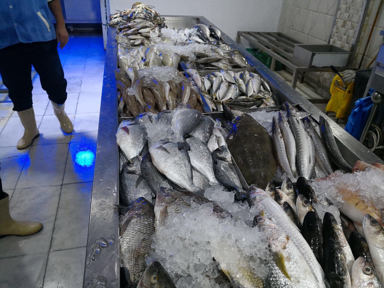 جولة على سوق أسماك مكة تسفر عن مصادرة 280 كيلو - المواطن