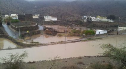 إثيوبي يروِّع عائلةً في قرية بأطاولة الباحة