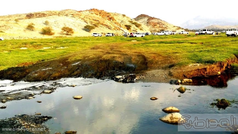 بالصور.. "المواطن" ترصد جمال وادي البرداني شمال محايل9