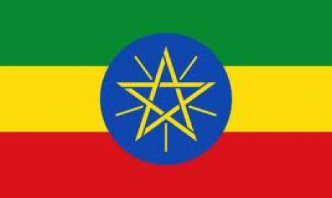 الحكومة الأثيوبية تعلن إعادة عمالتها المخالفة لأنظمة المملكة