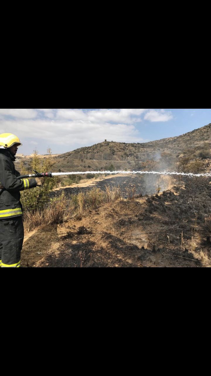 بالصور.. حريق أشجار ومدرجات زراعية في قرية الشط بوادي الطالع