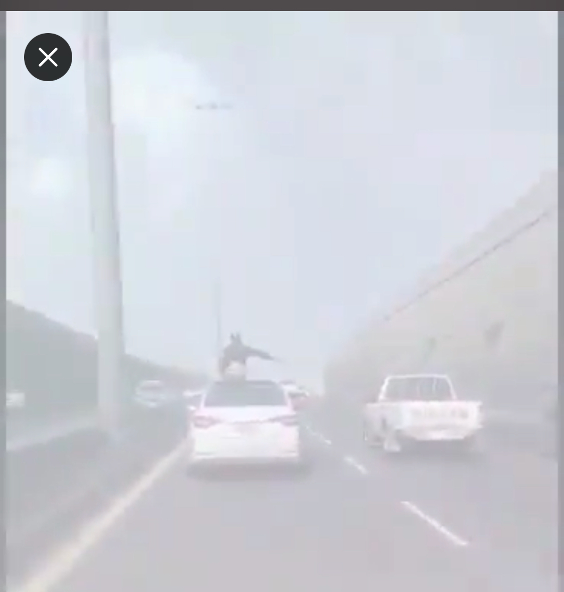 بالفيديو.. القبض على متهور يقود سيارته بقدميه وجسده خارجها