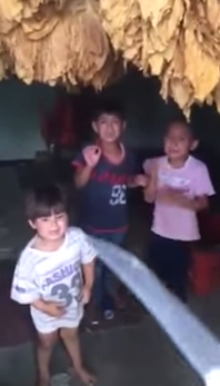 بالفيديو.. شاهد لبناني يهدد أطفال سوريين بسكين!