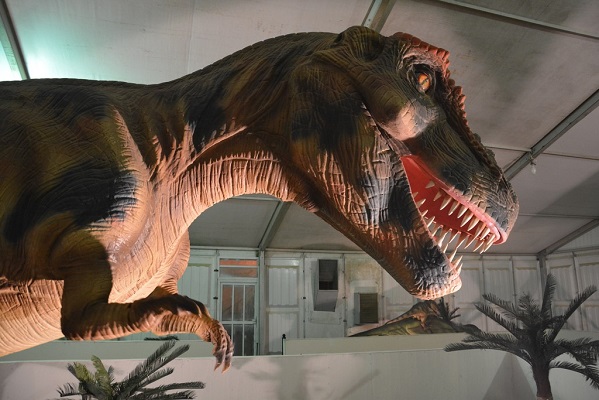 “الديناصورات المتحركة” تبهر الزوار بمهرجان بلجرشي