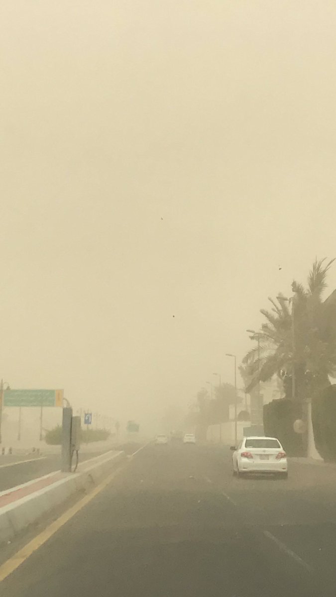طقس الجمعة .. الغبار يتحرّك شمال وغرب المملكة وأمطار رعدية على هذه المناطق
