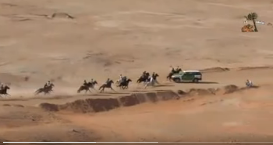 فيديو مرعب.. سيارة دورية تقتحم سباقًا للخيول وتصدم المتسابقين