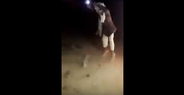 بالفيديو .. شباب يعذبون ثعلبًا بطريقة وحشية حتى الموت