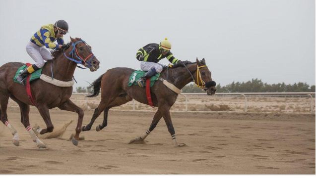 البلالي ينتزع كأس الحفل الثالث لميدان فروسية الخفجي