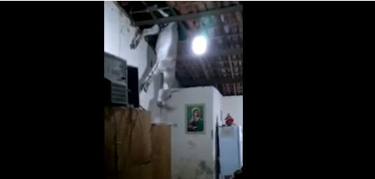 بالفيديو.. حمار يفاجئ أسرة ويسقط عليها من السقف