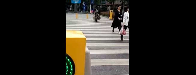 بالفيديو.. تقنية صينية طريفة تمنع عبور الإشارات بالخطأ