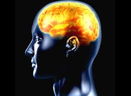 دراسة: مقاومة المخ للتوتر تجنب الإصابة بالزهايمر
