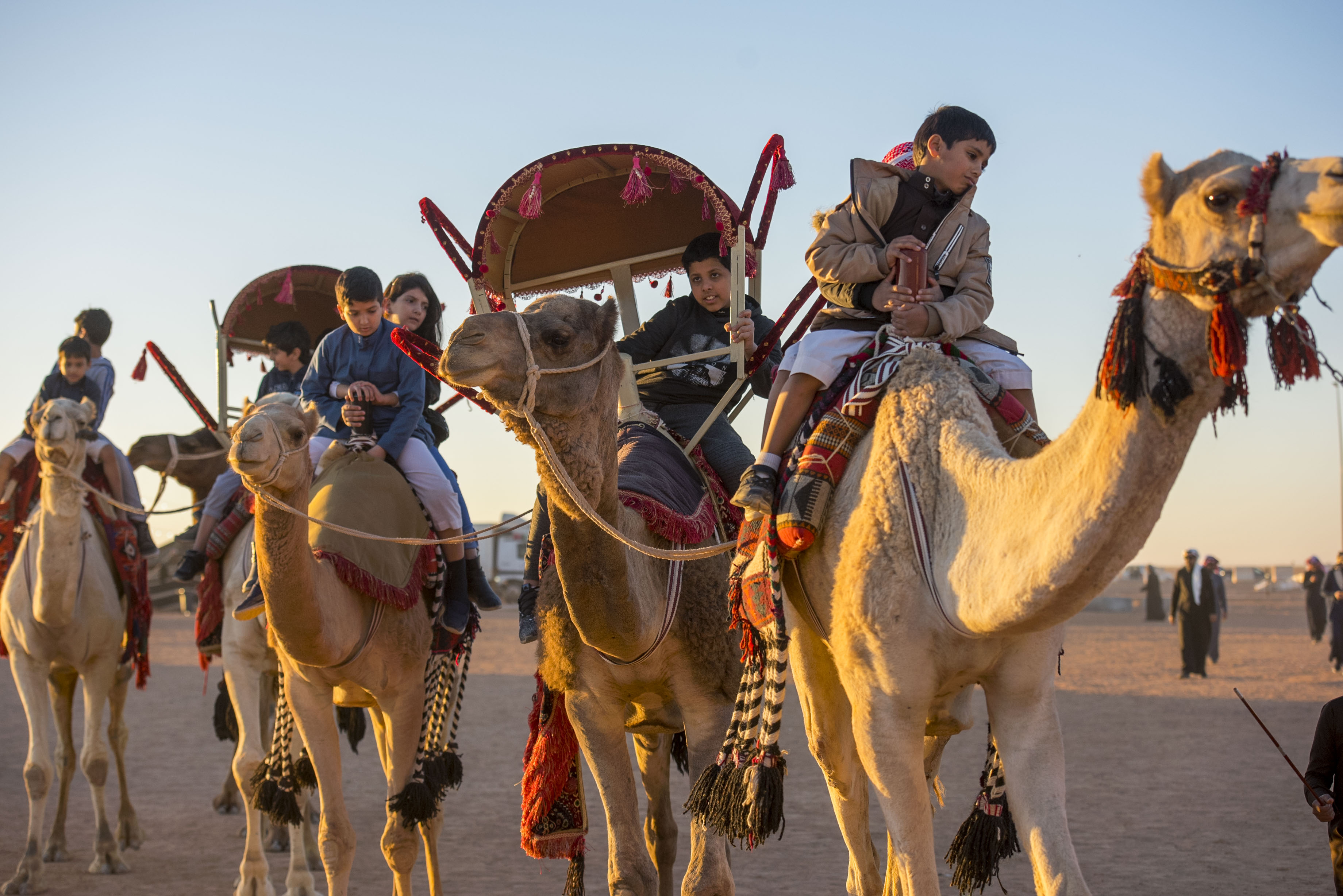 مهرجان الملك عبدالعزيز يستعرض ثقافات الشعوب في تزيين الإبل