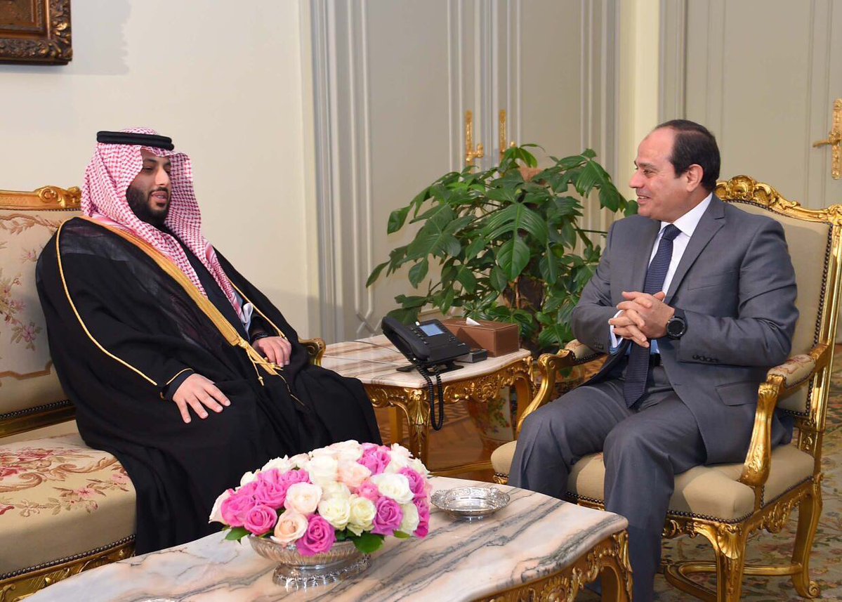 السيسي يبحث مع  آل الشيخ دعم مبادرة السلام ضد الإرهاب