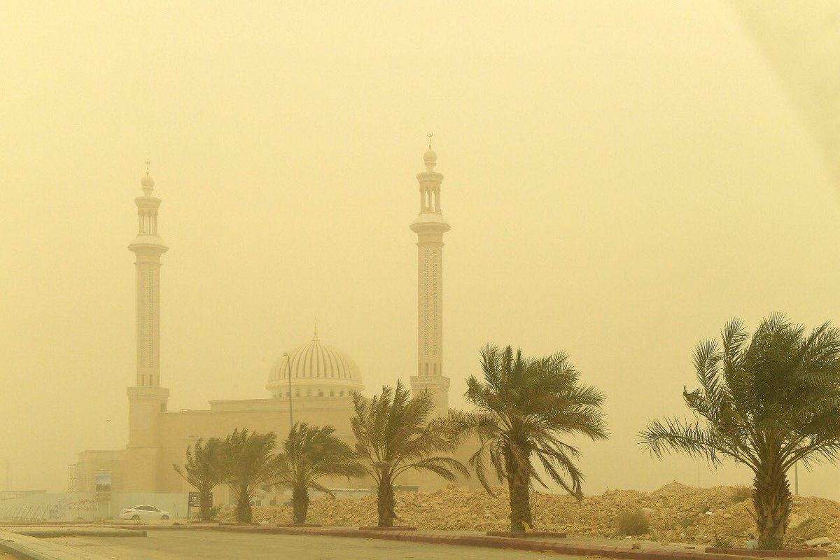 غبار يعيق الرؤية وأمطار رعدية على الرياض حتى الأحد