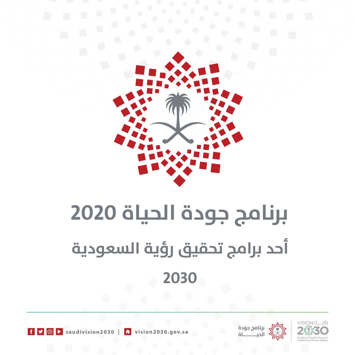 برنامج جودة الحياة في رؤية 2030 يخدم الامن الاجتماعي