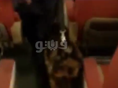 بالفيديو.. الكلاب البوليسية تمشط القطارات المصرية